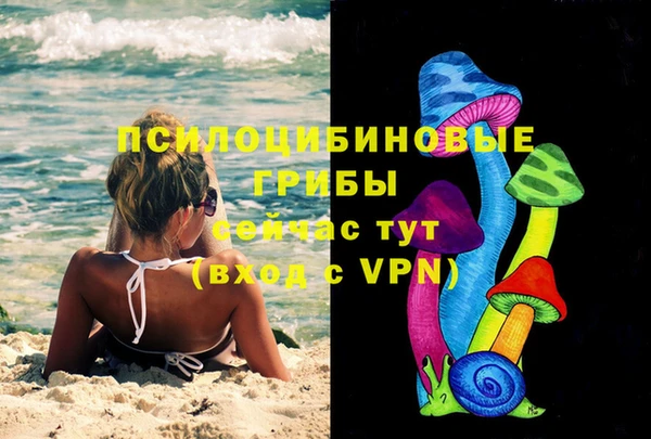 каннабис Аркадак