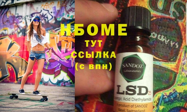 индика Елизово