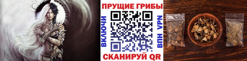 Галлюциногенные грибы ЛСД  Сорск 